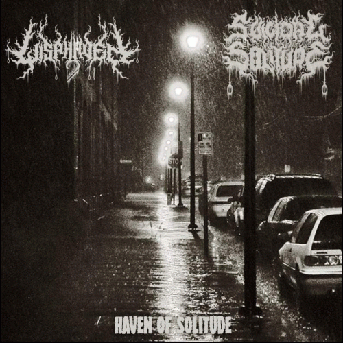 Wisphaven : Haven of Solitude Wisphaven : Haven of Solitude